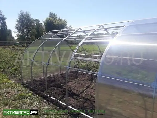 Теплица Ударница Урожайная Теплица Ударница Урожайная