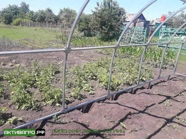 Теплица Ударница Урожайная Теплица Ударница Урожайная