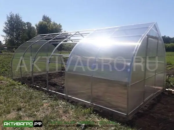 Теплица Ударница Урожайная Теплица Ударница Урожайная